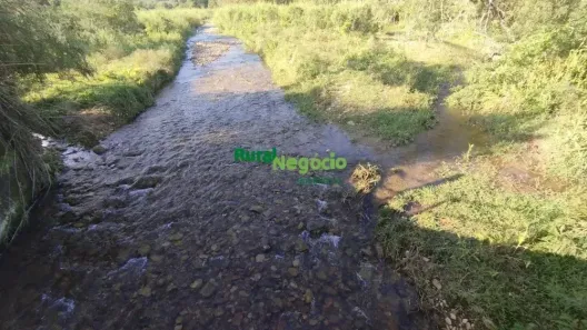 Fazenda/Sítio à venda, 20000m² no Ribeirão Grande, Pindamonhangaba