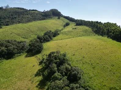 Lote/Terreno à venda, 169000m² no Itapeva, Itapeva