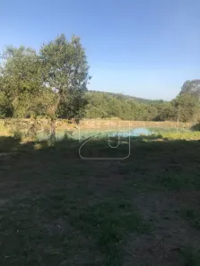 Fazenda/Sítio à venda, 134000m² no Centro (Lácio), Marília