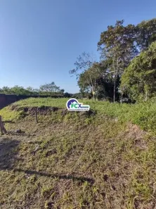 Lote/Terreno à venda, 1250m² no Umuarama, Itanhaém