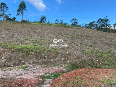 Lote/Terreno à venda, 1196m² no Alphaville - Lagoa dos Ingleses, Nova Lima