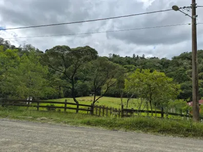 Fazenda/Sítio à venda, 41479m² no , Campo Alegre
