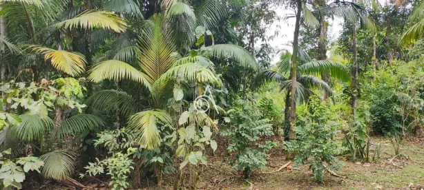 Lote/Terreno à venda, 1358m² no Morretes, Morretes