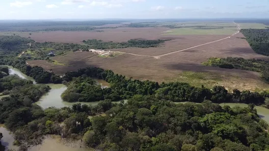 Fazenda/Sítio à venda, 2500m² no , Ulianopolis