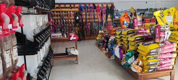 Prédio Comercial com 2 Quartos à venda, 300m² no Jardim das Palmeiras, Lucas do Rio Verde