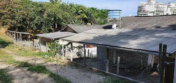 Lote/Terreno à venda, 682m² no Itacorubi, Florianópolis