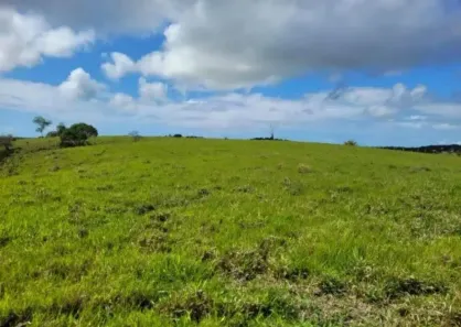 Fazenda/Sítio com 3 Quartos à venda, 138m² no , São José da Coroa Grande