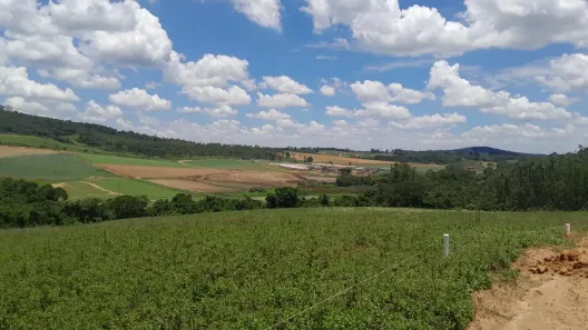 Lote/Terreno à venda, 500m² no Centro (Caucaia do Alto), Cotia