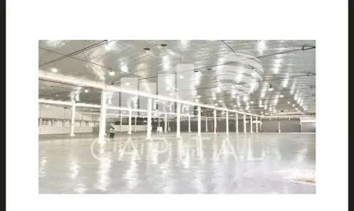 Galpão/Depósito/Armazém para alugar, 5610m² no Vila Ribeiro de Barros, São Paulo