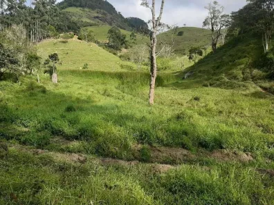 Fazenda/Sítio com 2 Quartos à venda, 100m² no Centro, Paraibuna