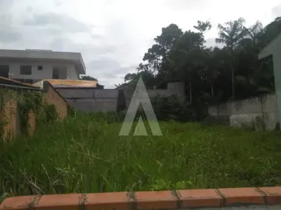 Lote/Terreno para alugar, 386m² no João Costa, Joinville