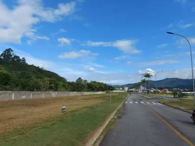 Lote/Terreno à venda, 450m² no Tabuleiro, Camboriú