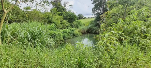 Fazenda/Sítio à venda, 5826m² no Usina Três Bocas, Londrina