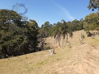 Lote/Terreno à venda, 30000m² no Limite de Município, Socorro