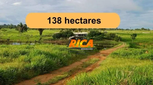 Fazenda/Sítio à venda, 1380000m² no Zona Rural, Buritis