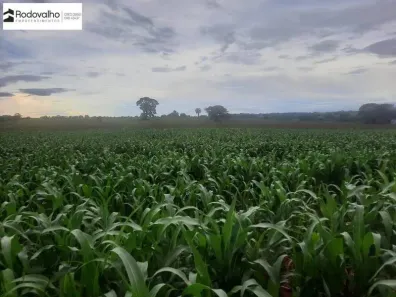 Lote/Terreno à venda, 503072m² no , Caturaí