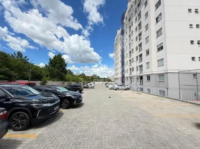 Apartamento com 2 Quartos à venda, 49m² no Aristocrata, São José dos Pinhais
