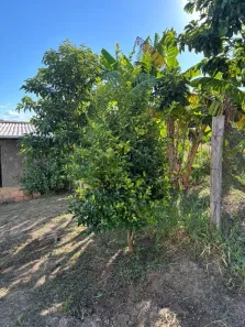 Fazenda/Sítio com 2 Quartos à venda, 103m² no Jundiacanga, Araçoiaba da Serra
