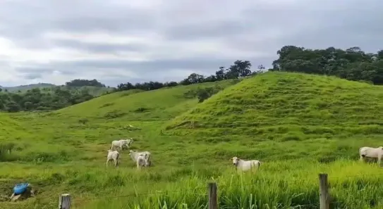 Fazenda/Sítio com 2 Quartos à venda, 1790800m² no , Cantagalo