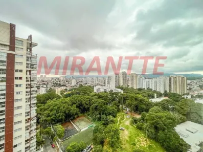 Apartamento com 3 Quartos à venda, 350m² no Santana, São Paulo