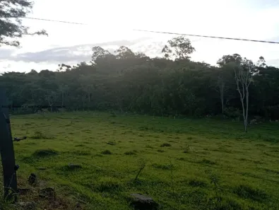 à venda, 16953m² no , Regente Feijó