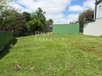 Lote/Terreno à venda, 290m² no Jardim Montecatini, Londrina