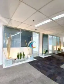 Sala Comercial para alugar, 367m² no Indianópolis, São Paulo
