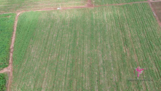 Lote/Terreno à venda, 4980m² no Vila São Guido, Pirassununga