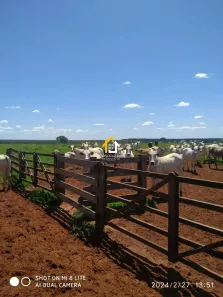 Fazenda/Sítio à venda, 12350000m² no Zona Rural, Paranaíba