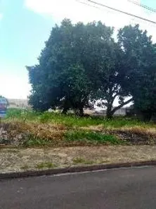 Lote/Terreno para alugar, 1m² no Vila Irene, São Carlos