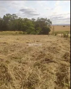 Lote/Terreno à venda, 1200m² no Warta, Bela Vista do Paraíso