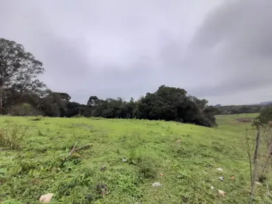 Lote/Terreno à venda, 166957m² no Campina da Barra, Araucária