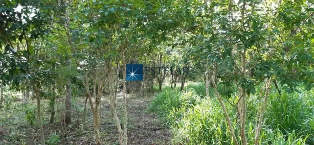Lote/Terreno à venda, 375000m² no Quatinga, Mogi das Cruzes