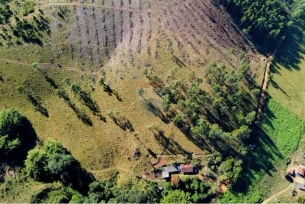 Fazenda/Sítio com 2 Quartos à venda, 91m² no , Socorro