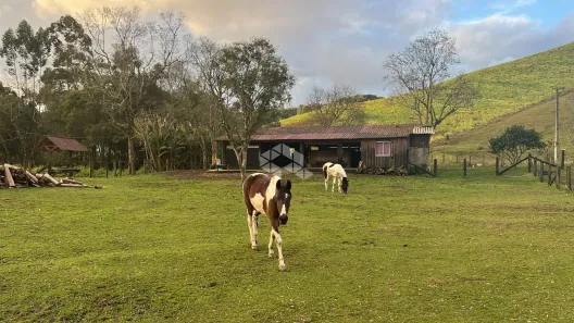 Fazenda/Sítio com 3 Quartos à venda, 5000m² no Angelina, Angelina
