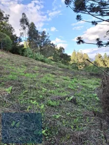 Lote/Terreno à venda, 2000m² no Grotão, Gonçalves