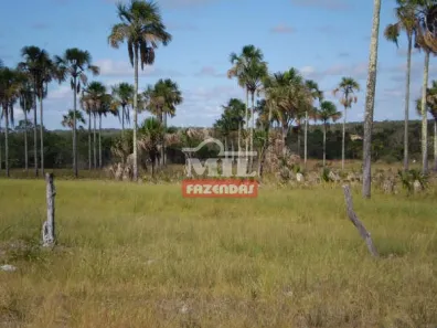 Fazenda/Sítio à venda, 1m² no Centro, Chapada Gaúcha