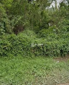 Lote/Terreno à venda, 450m² no Engenho do Mato, Niterói