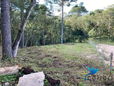 Lote/Terreno à venda, 5810m² no Leão, Agudos do Sul