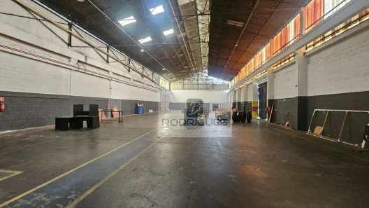 Galpão/Depósito/Armazém para alugar, 1500m² no Vila Água Funda, São Paulo