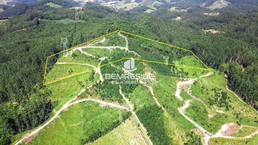 Fazenda/Sítio à venda, 242000m² no , São Martinho