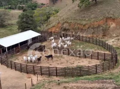 Fazenda/Sítio com 3 Quartos à venda, 90m² no Pouso Alto, Natividade da Serra