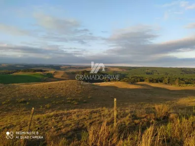 Lote/Terreno à venda, 5000m² no Centro, São Francisco de Paula