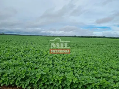 Fazenda/Sítio à venda, 500m² no , Lucas do Rio Verde