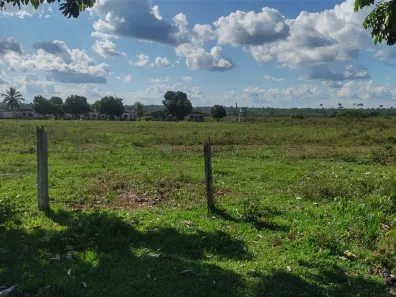 com 3 Quartos à venda, 380m² no , Rondolândia