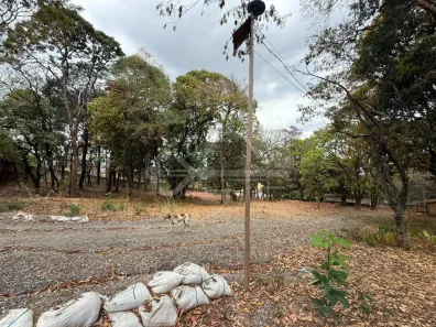 Lote/Terreno à venda, 6600m² no Trevo, Belo Horizonte
