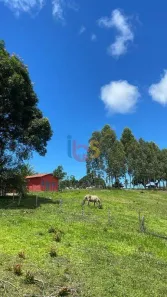 Fazenda/Sítio à venda, 950000m² no Nossa Senhora da Vitória, Ilhéus
