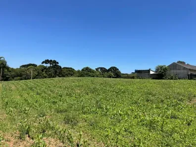 Lote/Terreno à venda, 15524m² no Ganchinho, Curitiba