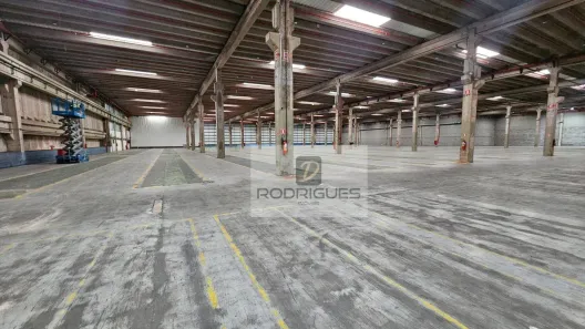 Galpão/Depósito/Armazém para alugar, 11000m² no Cooperativa, São Bernardo do Campo
