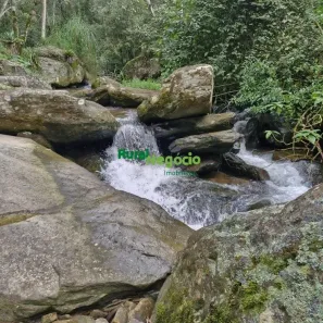 Fazenda/Sítio com 2 Quartos à venda, 24200m² no Ribeirão Grande, Pindamonhangaba